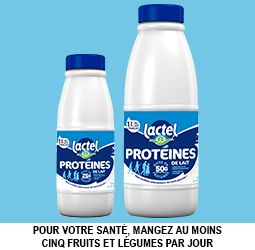 Promotion Lactel Protéines
