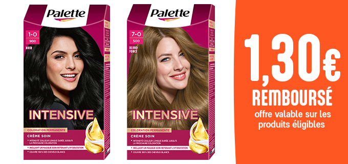 Promotion BR Palette Coloration Permanente