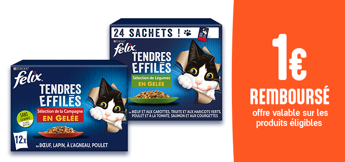 Promotion Les Tendres Effilés