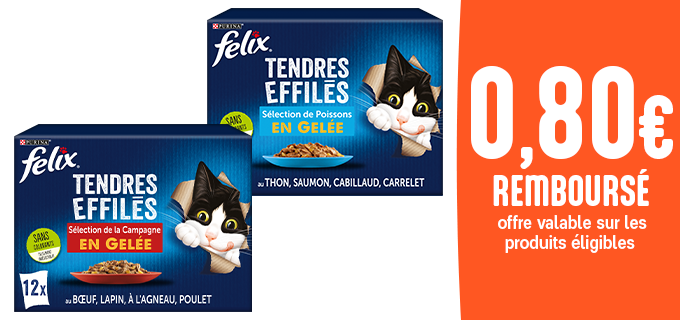 Promotion Les Tendres Effilés