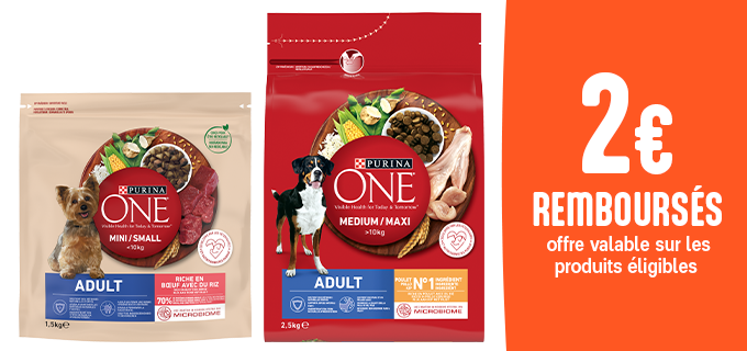 Promotion PURINA ONE® Chien