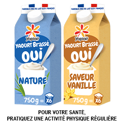 Promotion YOPLAIT EN BRIQUE