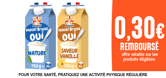 Promotion YOPLAIT EN BRIQUE