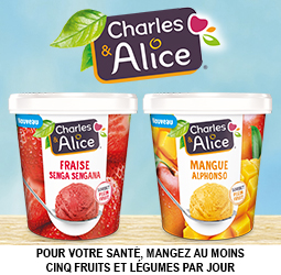 Promotion Sorbets plein fruits