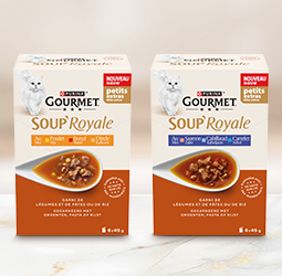 Promotion Gourmet® Soup' Royale 6x45g