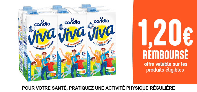 Promotion VIVA 6x1L BRIQUES