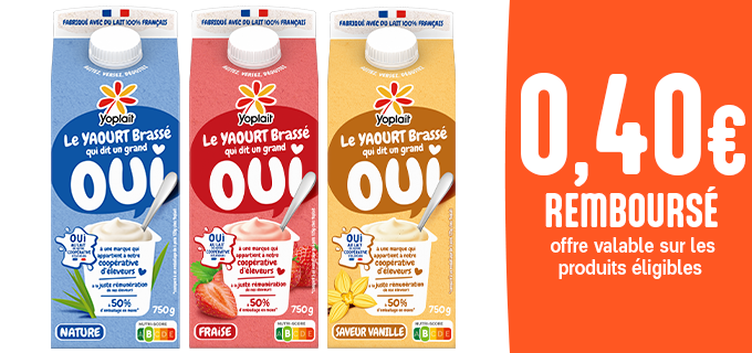 Promotion Yoplait en Brique